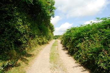 The farm lane leading to Largin Farm and Little Largin.