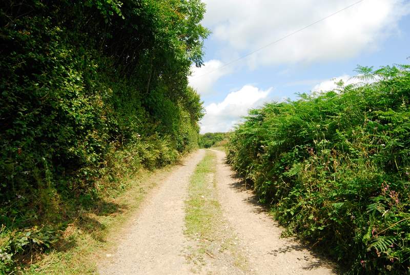The farm lane leading to Largin Farm and Little Largin.
