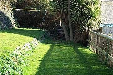 The garden.