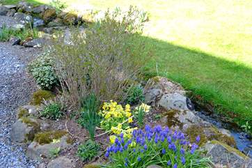 Pretty spring flowers outside the cottage.