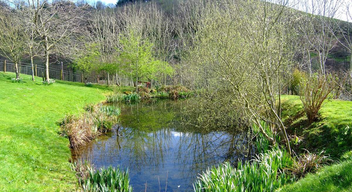 The natural pond beyond the cottages (take care with toddlers as it is not fenced).