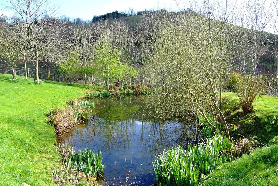 The natural pond beyond the cottages (take care with toddlers as it is not fenced).