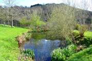 The natural pond beyond the cottages (take care with toddlers as it is not fenced).