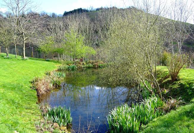The natural pond beyond the cottages (take care with toddlers as it is not fenced).