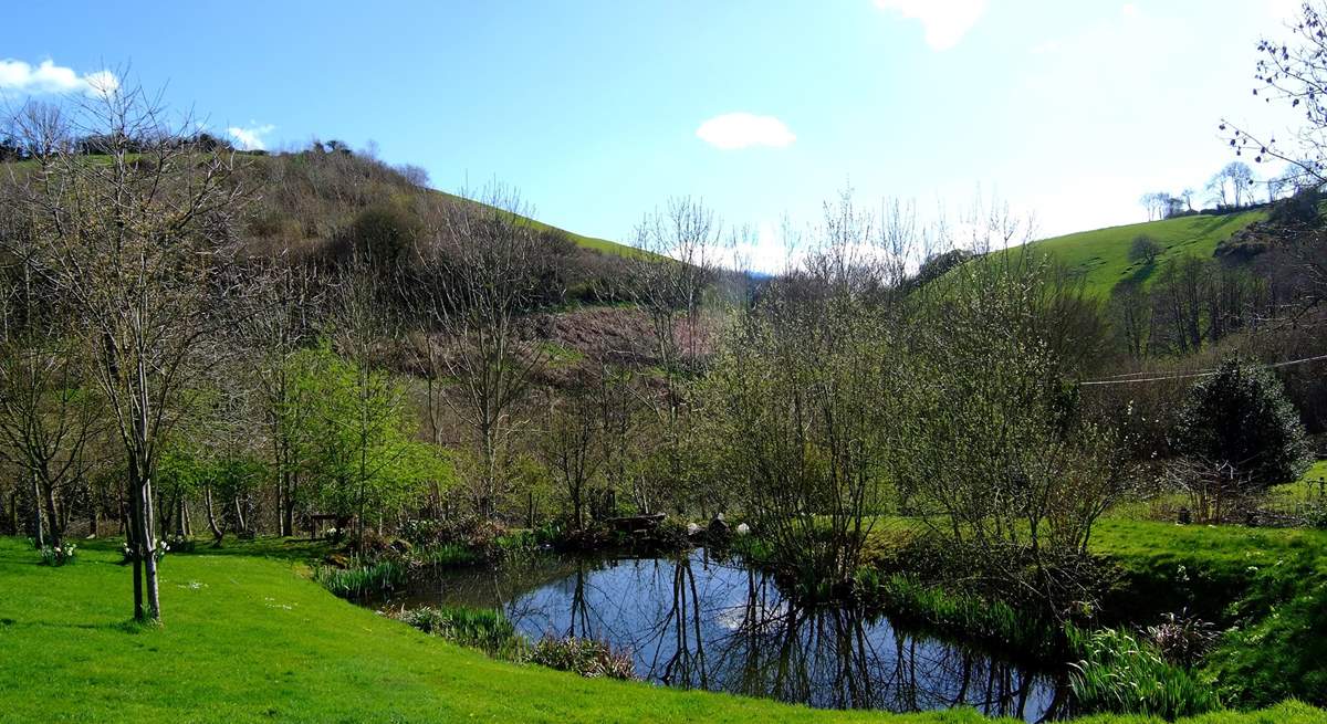 Lovely views beyond the pond (take care with children as it is unfenced).