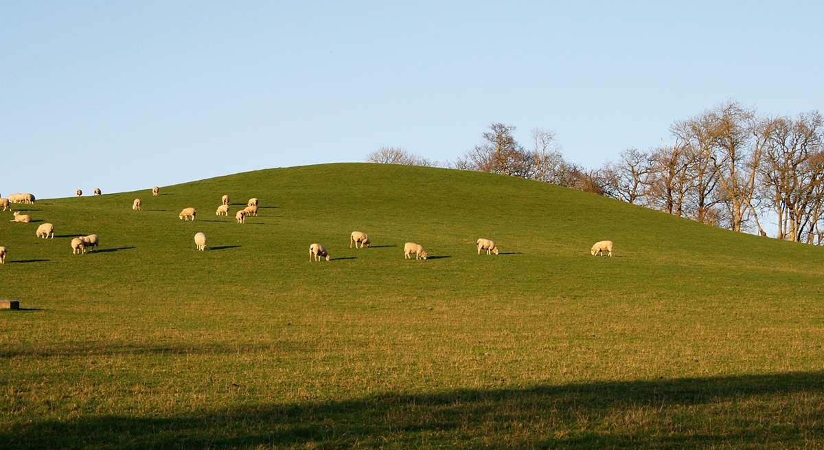 Take care around livestock, and dogs should always be on the lead if stock are close by.