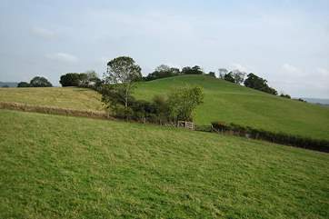 Dartmoor is within easy reach.