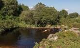 If wild swimming is your thing, head to Dartmoor. - Thumbnail Image