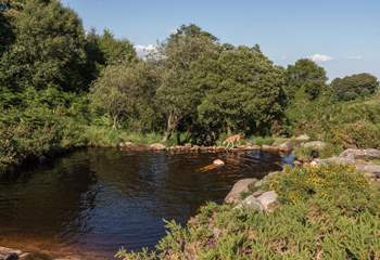 If wild swimming is your thing, head to Dartmoor.