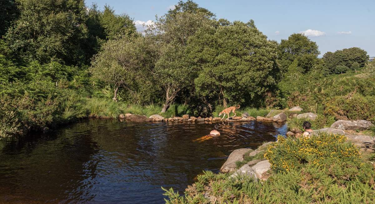 If wild swimming is your thing, head to Dartmoor.