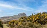 Dartmoor with Haytor in the distance. - Thumbnail Image