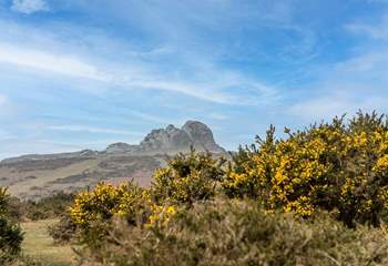 Dartmoor with Haytor in the distance.