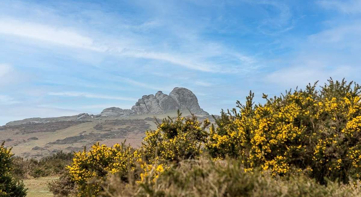 Dartmoor with Haytor in the distance.