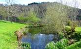 The pretty wildlife pond and views beyond - (take care with toddlers as the pond is unfenced). - Thumbnail Image