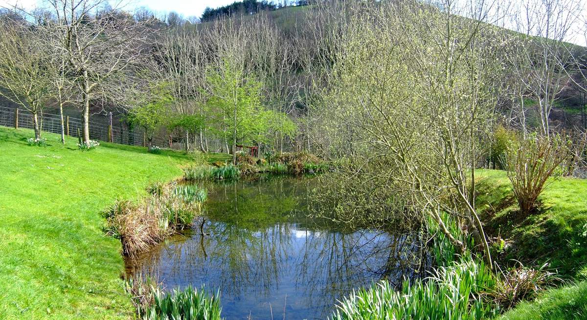 The pretty wildlife pond and views beyond - (take care with toddlers as the pond is unfenced).