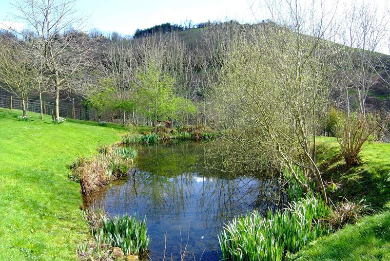 The pretty wildlife pond and views beyond - (take care with toddlers as the pond is unfenced).
