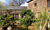 The pretty stream and small pond outside the cottages (take care with children). - Thumbnail Image