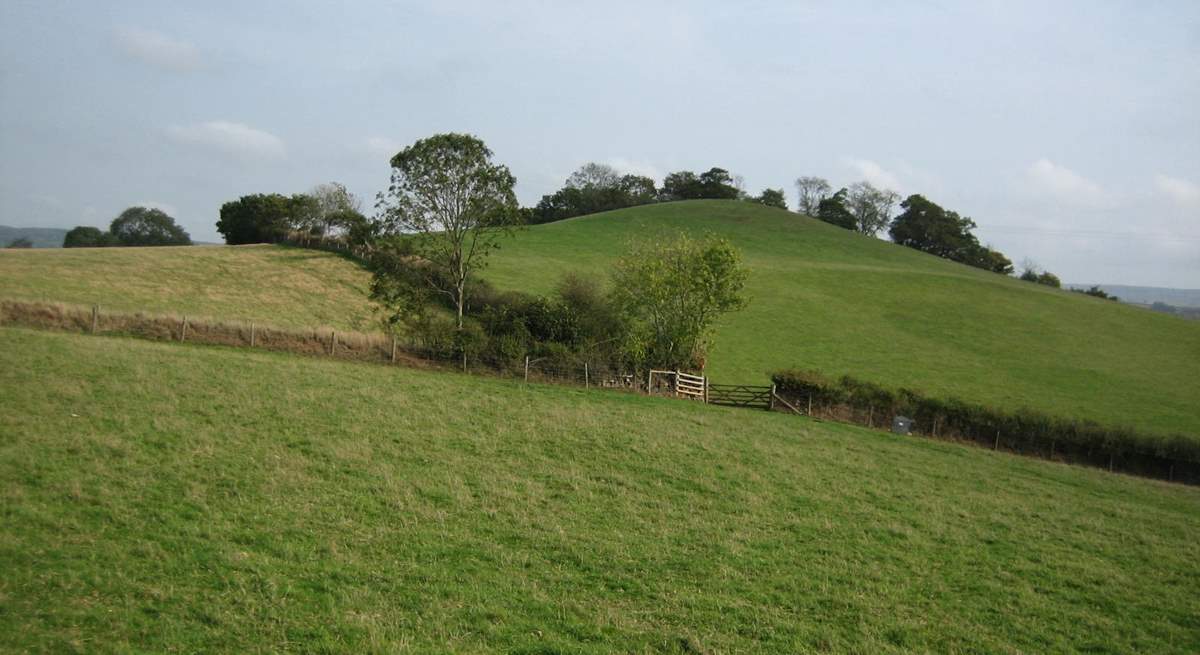 The cottages are surrounded by gorgeous countryside.