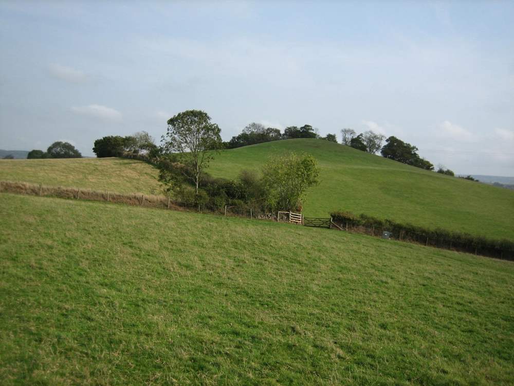 The cottages are surrounded by gorgeous countryside.