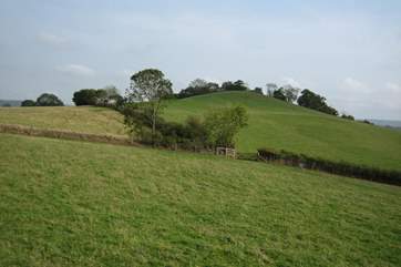 The cottages are surrounded by gorgeous countryside.