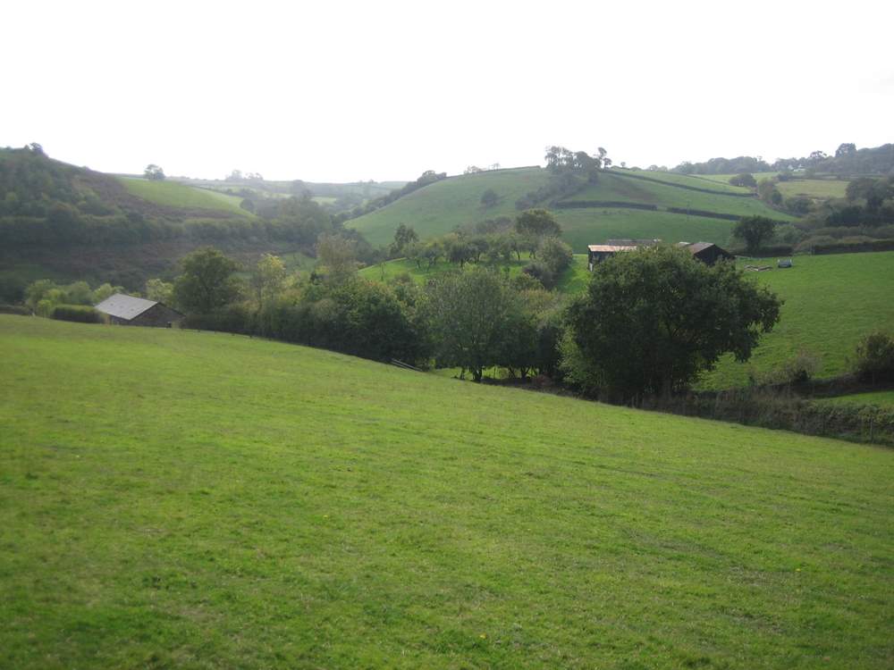 This is a lovely part of Dartmoor.