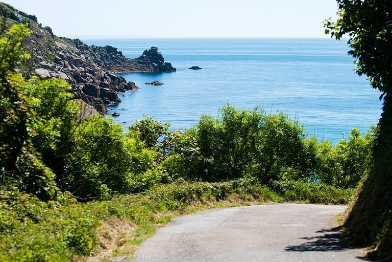 You can walk down to Lamorna Cove from Bluebell.