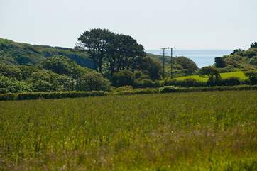 A lovely picnic spot just across the farm lane provides you with the most beautiful views of the coast.