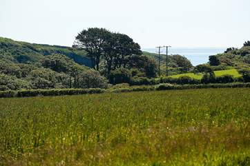 A lovely picnic spot just across the farm lane provides you with the most beautiful views of the coast.