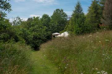 Standing on a wooden deck built into the side of the meadow.