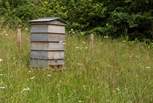 Who knows what you may come across when exploring the grounds - here is the owners' beekeeping hive. 