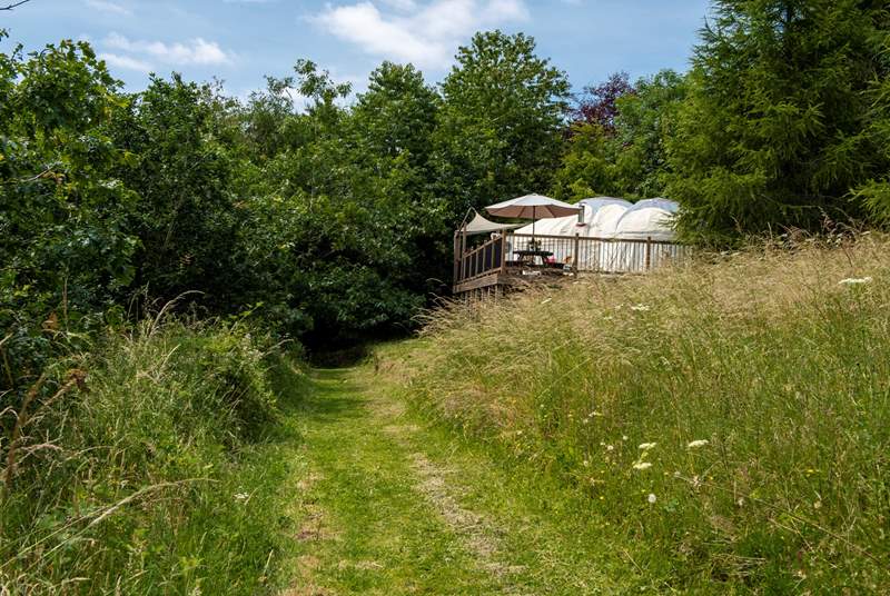 Poppy Yurt sits proudly in half an acre of meadow and woodland.