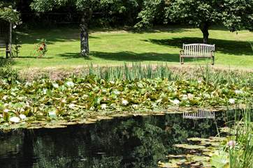 The bench by the lake is a lovely place to sit for a while.