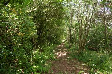 You are more than welcome to explore the grounds.