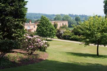 The National Trust estate at Killerton is just a bike ride away down the road - lovely walks, gardens, cafe, restaurant and shop.