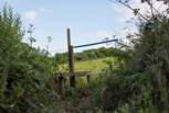 You are welcome to wander the owners' 60 acres of organic farmland (please take care with and keep your dog(s) on a lead around any livestock). This little stile takes you up to a lovely field.