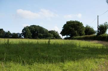 Plenty of open farmland for you to explore (please keep your dog(s) on a lead around any livestock).