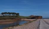 The far end of the beach at Budleigh Salterton (just over 30 minutes away), where the River Otter joins the sea. The river, banks and reed beds are wonderful places for nesting birds. - Thumbnail Image