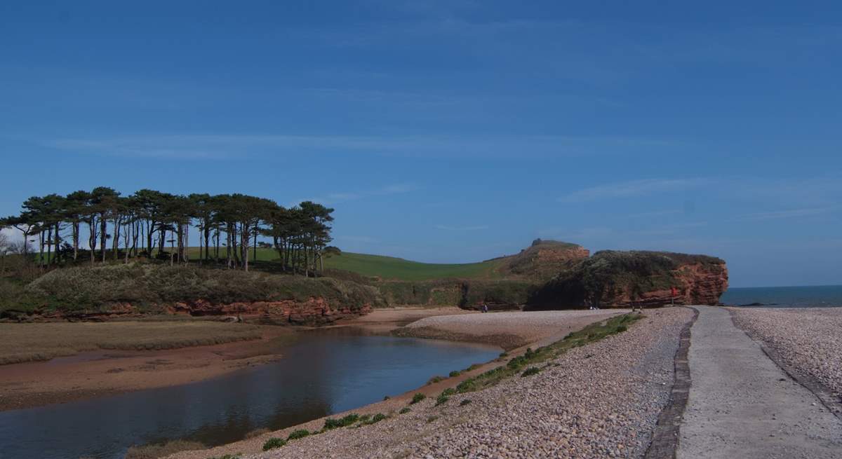 The far end of the beach at Budleigh Salterton (just over 30 minutes away), where the River Otter joins the sea. The river, banks and reed beds are wonderful places for nesting birds.