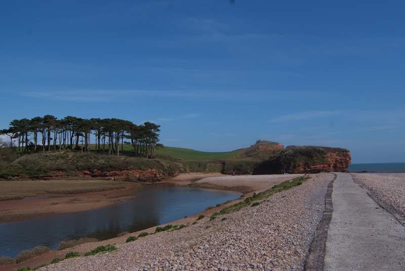 The far end of the beach at Budleigh Salterton (just over 30 minutes away), where the River Otter joins the sea. The river, banks and reed beds are wonderful places for nesting birds.