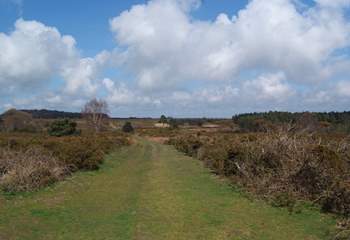 Around 30 minutes away, Woodbury Common, an area of unspoilt heathland, offers miles of walks with the sea sparkling in the distance.