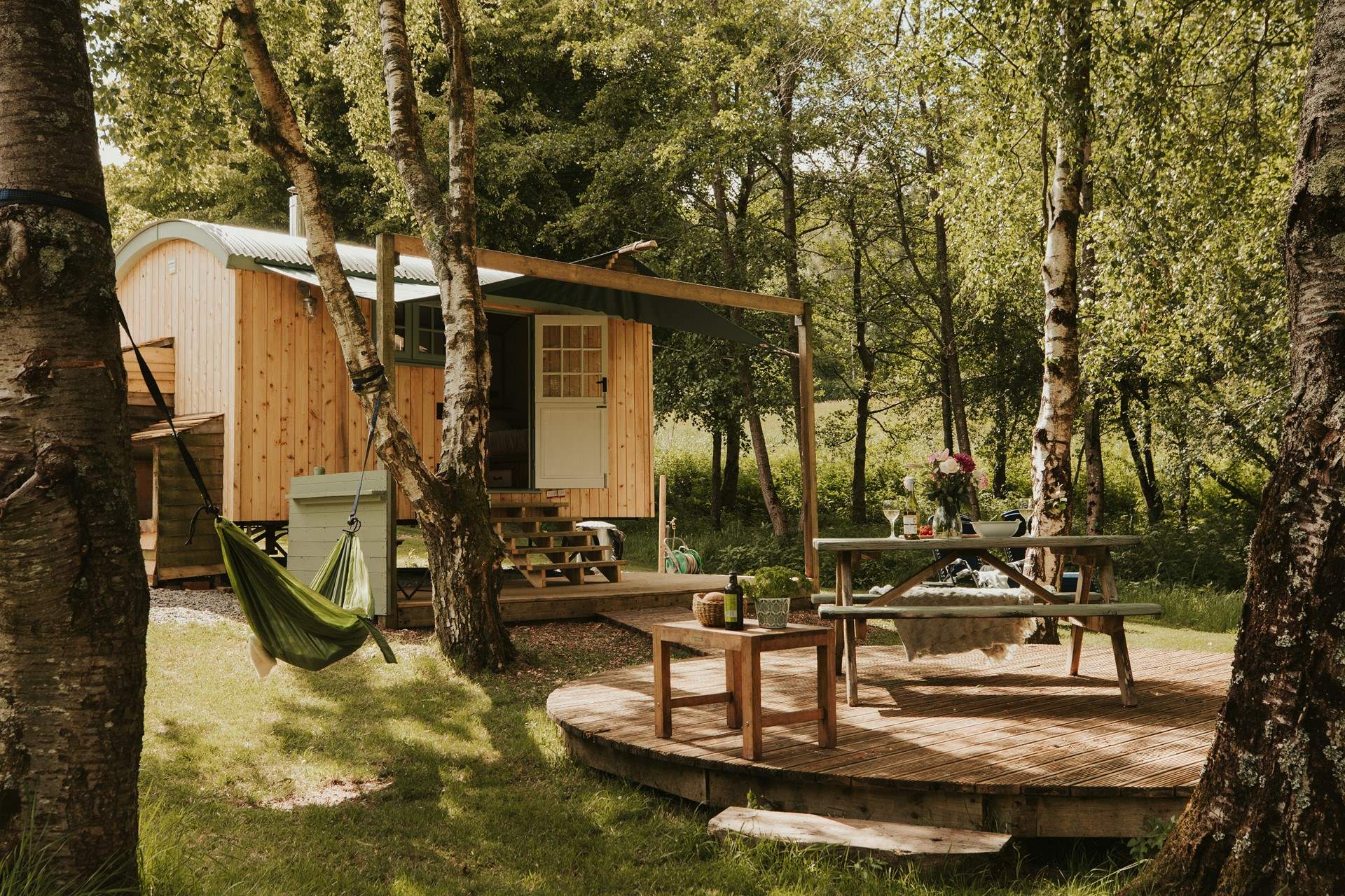 Welcome to wholesome Shepherd's Delight. 