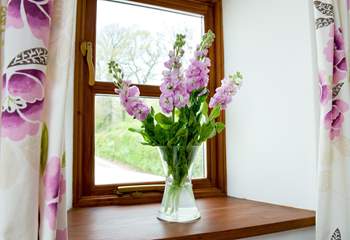 Flowers on the window sill.