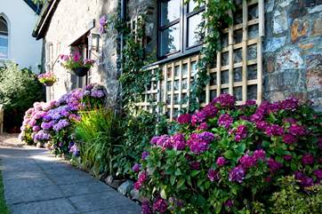 Beautiful hydrangeas offer a wonderful welcome.