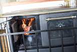 The log-fired range is your heating and cooking appliance, but the owners have thoughtfully provided a gas camping stove out on the balcony too.