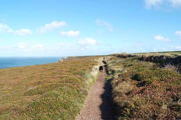 A lovely coastal walk.