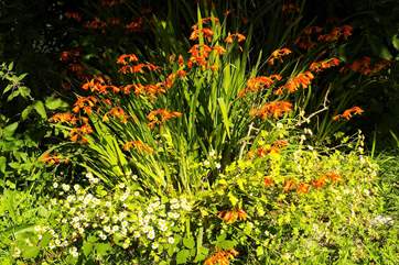 Hot colours for summertime!