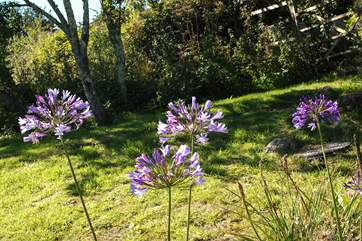 The garden is planted for season colour.