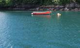 The water in the River Fowey is crystal clear. - Thumbnail Image