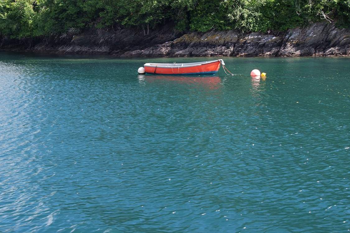 The water in the River Fowey is crystal clear.