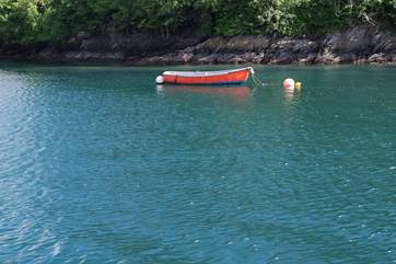 The water in the River Fowey is crystal clear.